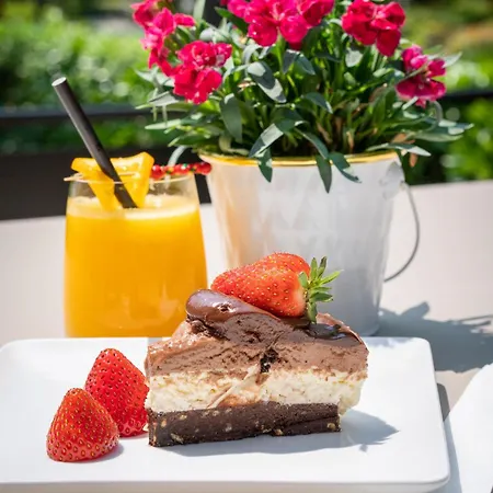 Hotel Degrassi Boutique Garni Izola